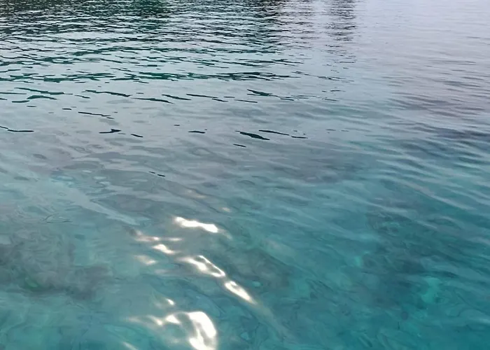 Apartment Fewosaric Marlon Vir