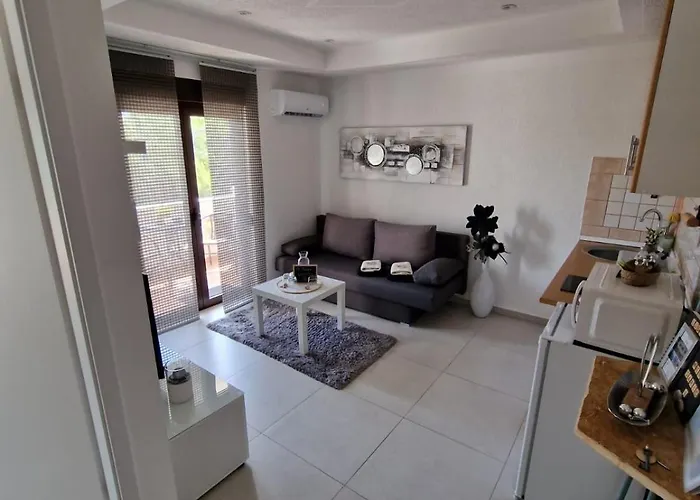 Fewosaric Marlon Vir