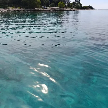 아파트 Fewosaric Marlon 비르