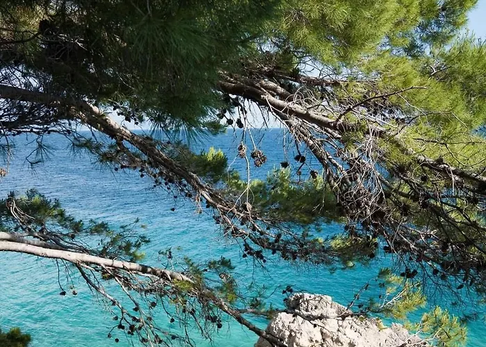 아파트 Fewosaric Marlon 비르